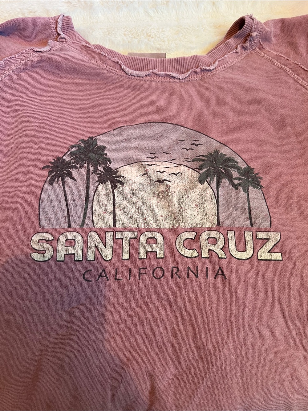 Santa Cruz California Distressed Crew Neck Sweater - Dusty Rose